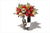 Pollipò QUINSON - composè STELLA