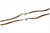 Pollipò P3294 pearl brown - eyewear jewel chain