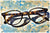 Eyewear by Pollipò 595-11