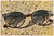 Sunglasses handmade in Italy - style n. 595-11