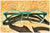 Pollipò 603-02 front view - eyewear handmade in Italy