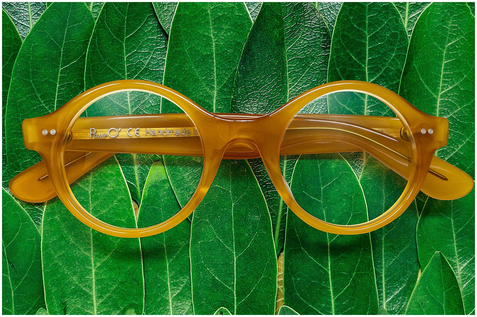 Occhiali tondi color miele Pollipò P615-25