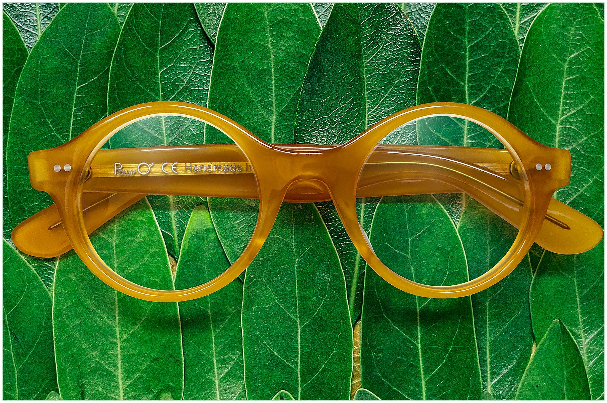 Occhiali Pollipò stile tondo 615 in acetato wow-honey